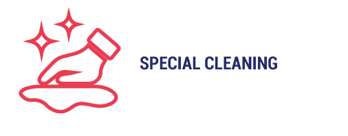 SPECIAL CLEANING